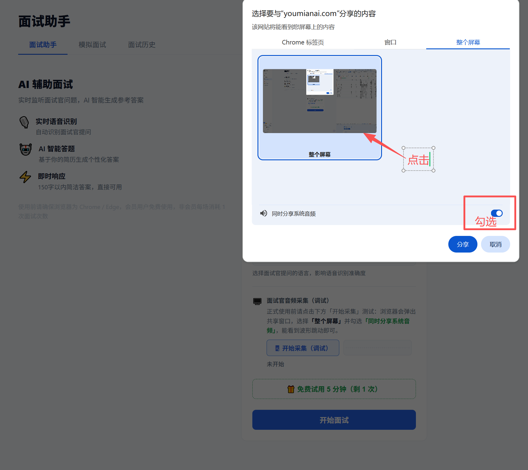 浏览器屏幕共享弹窗 — 选「整个屏幕」并勾选底部「同时分享系统音频」